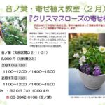 2026/02 gathering plants lesson at Otonoha